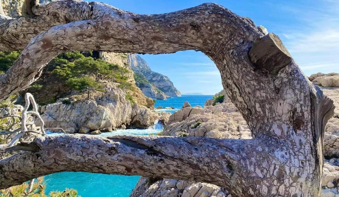 Mon Petit Paradis, Cassis Centre Apt 90 M2, 200 M Mer, Terr Plein Sud, Clim Park Prive מראה חיצוני תמונה